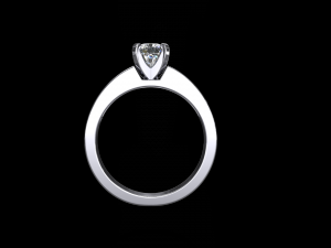 ring model - 019 3D Print Model