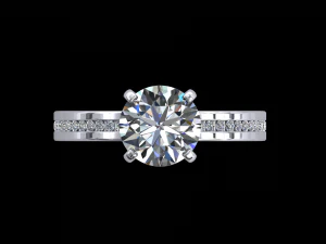 ring model - 020 3D Print Model