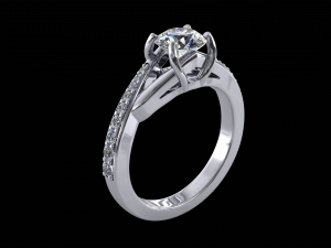 ring model - 022 3D Print Model