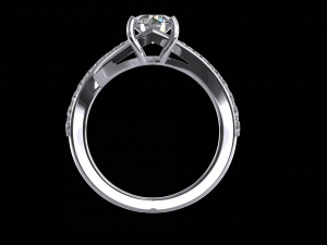 ring model - 022 Modèles 3D en vedette