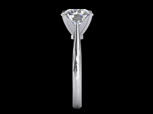 ring model - 024 3D Print Model