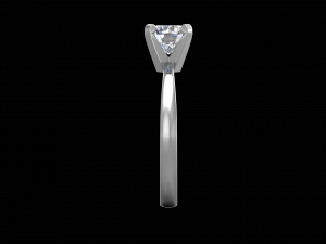 ring model - 025 3D 프린트 모델