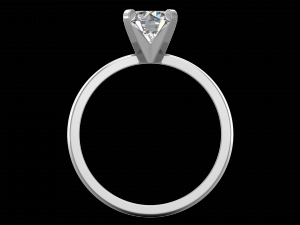 ring model - 025 3D 프린트 모델