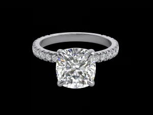 ring model - 027 3D Print Model