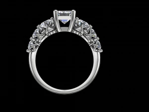 ring model - 029 3D Print Model