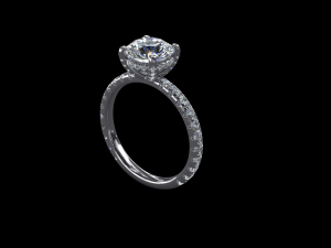 ring model - 030 3D Принт Модель