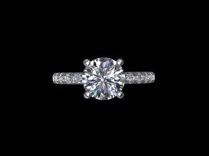 ring model - 030 3D Принт Модель