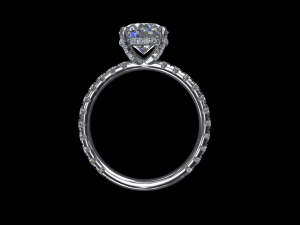 ring model - 030 3D Принт Модель