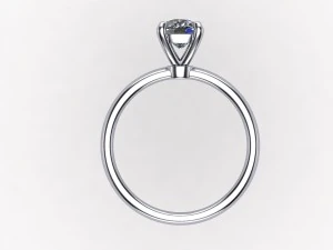 ring model - 038 3D Print Model
