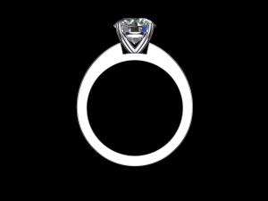 ring model - 041 3D Print Model