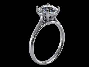 ring model - 044 3D Print Model