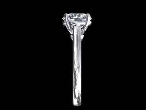 ring model - 044 3D Baskı Modeli