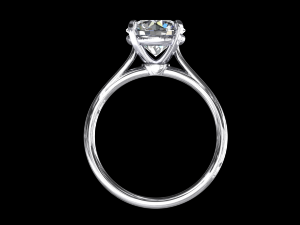 ring model - 044 3D Baskı Modeli
