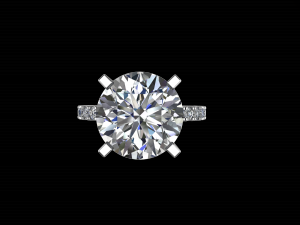 ring model - 046 3D Baskı Modeli