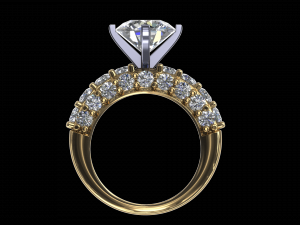 ring model - 048 3D 프린트 모델