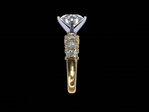 ring model - 048 3D 프린트 모델