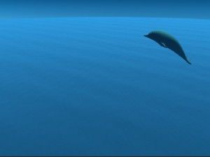 dolphin 3D Model