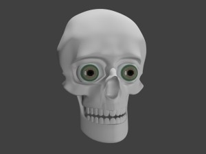 skull 3D Model