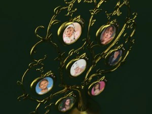 photoframe apple tree 3D Model