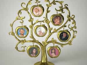photoframe apple tree 3D Model