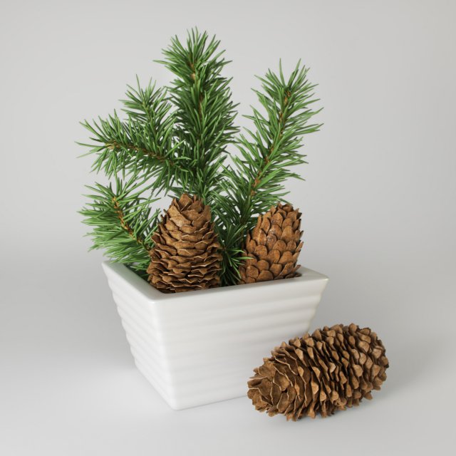 christmas fir branches and cones 3D Model .c4d .max .obj .3ds .fbx .stl .blend 