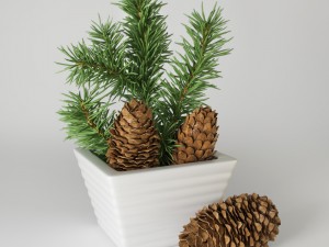christmas fir branches and cones 3D Model