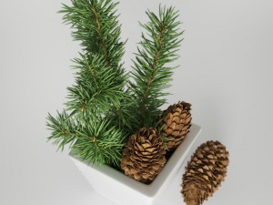christmas fir branches and cones 3D Model