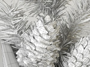 christmas fir branches and cones 3D Model