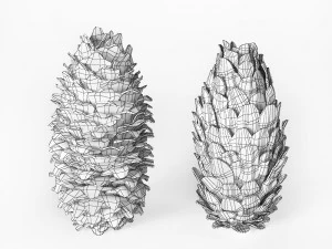 cones de abeto Modelo 3D