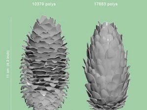 cones de abeto Modelo 3D