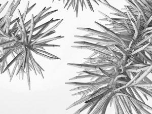 fir branches 3D 模型