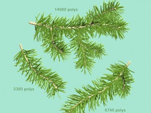 fir branches 3D 模型