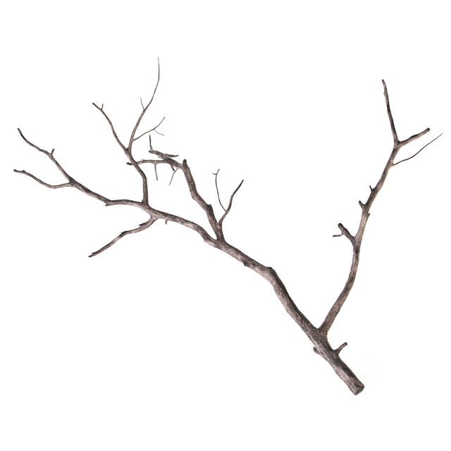 branch 3D Model .c4d .max .obj .3ds .fbx .stl .blend 