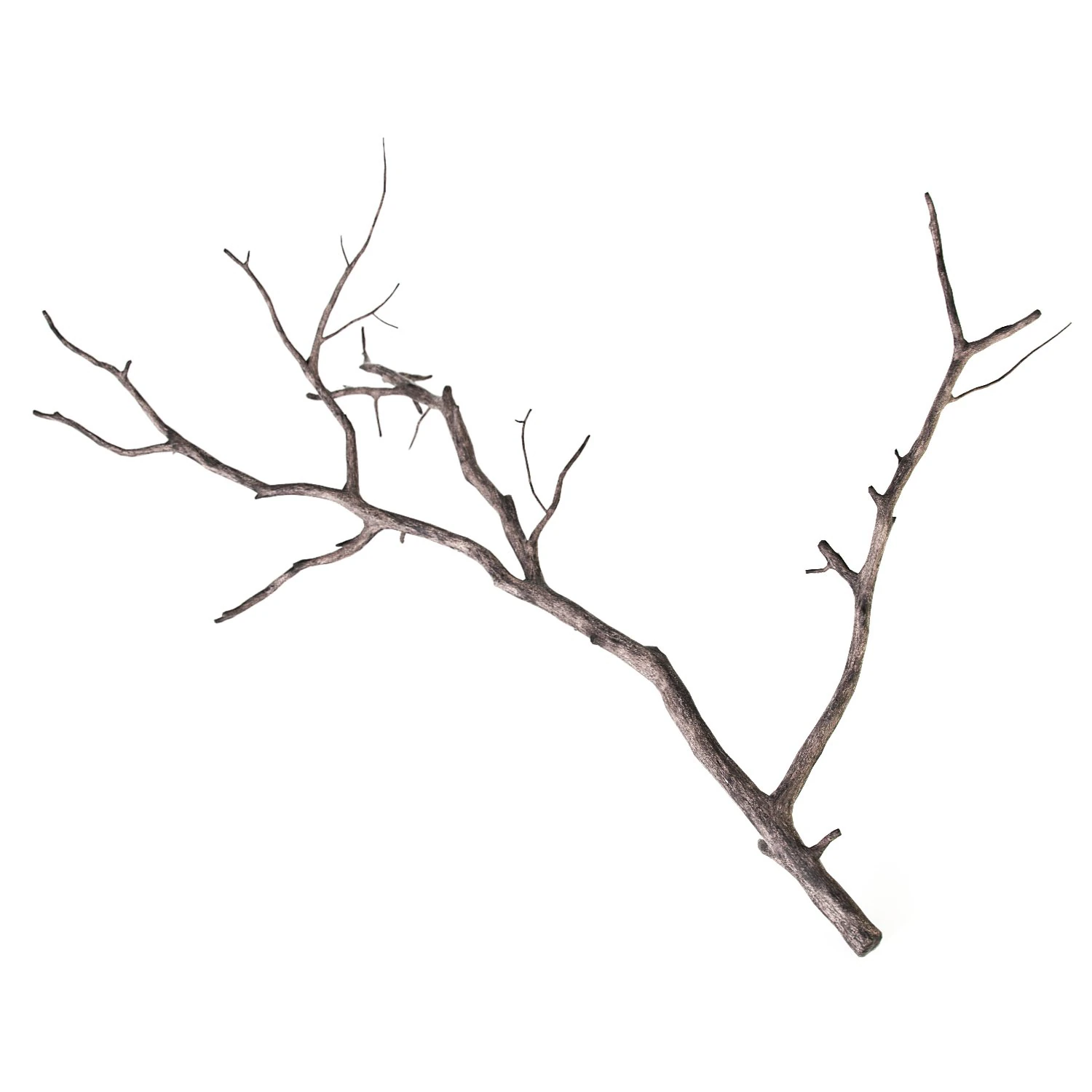 branch 3D Model .c4d .max .obj .3ds .fbx .stl .blend 