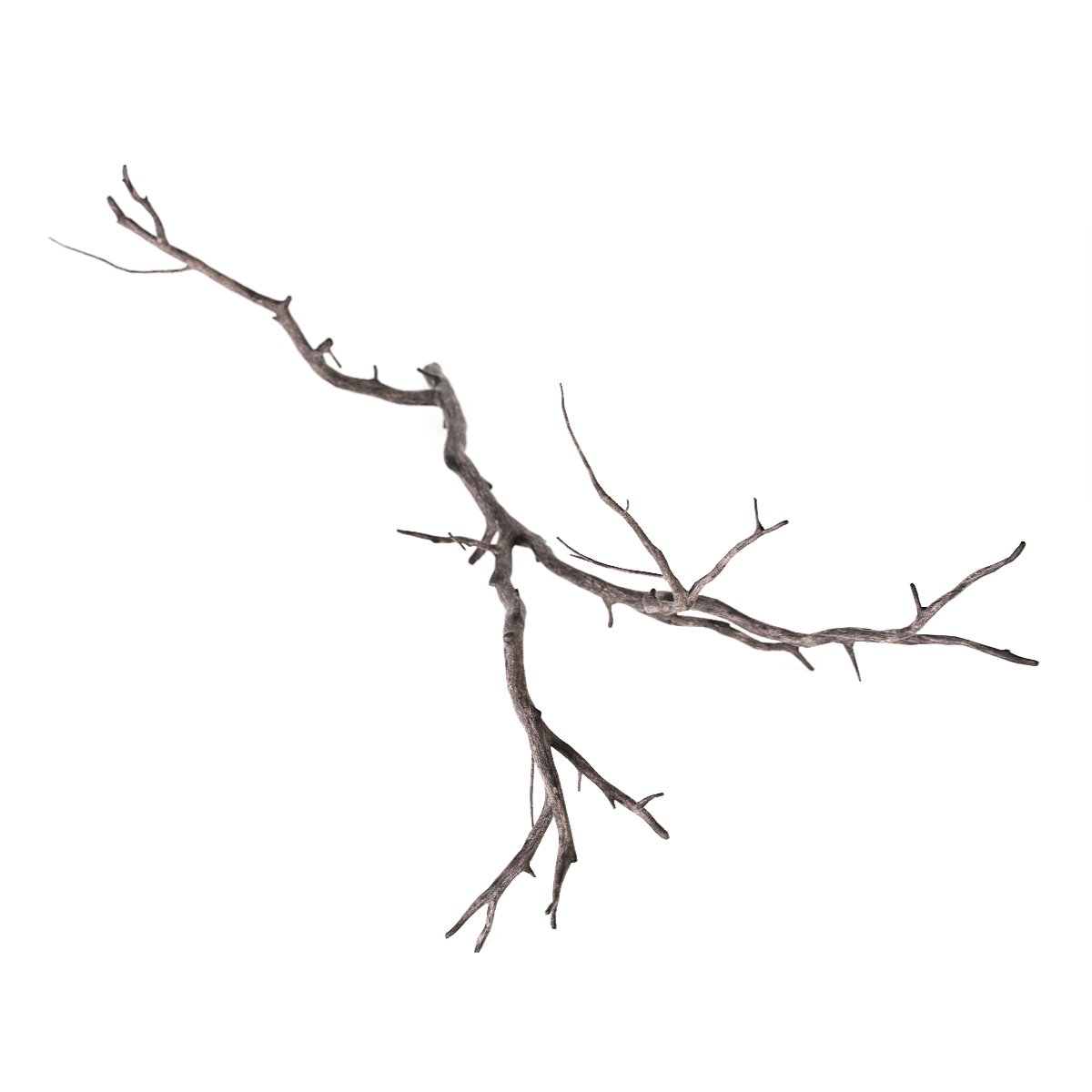 Three branches