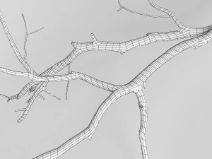 branch 3D Model