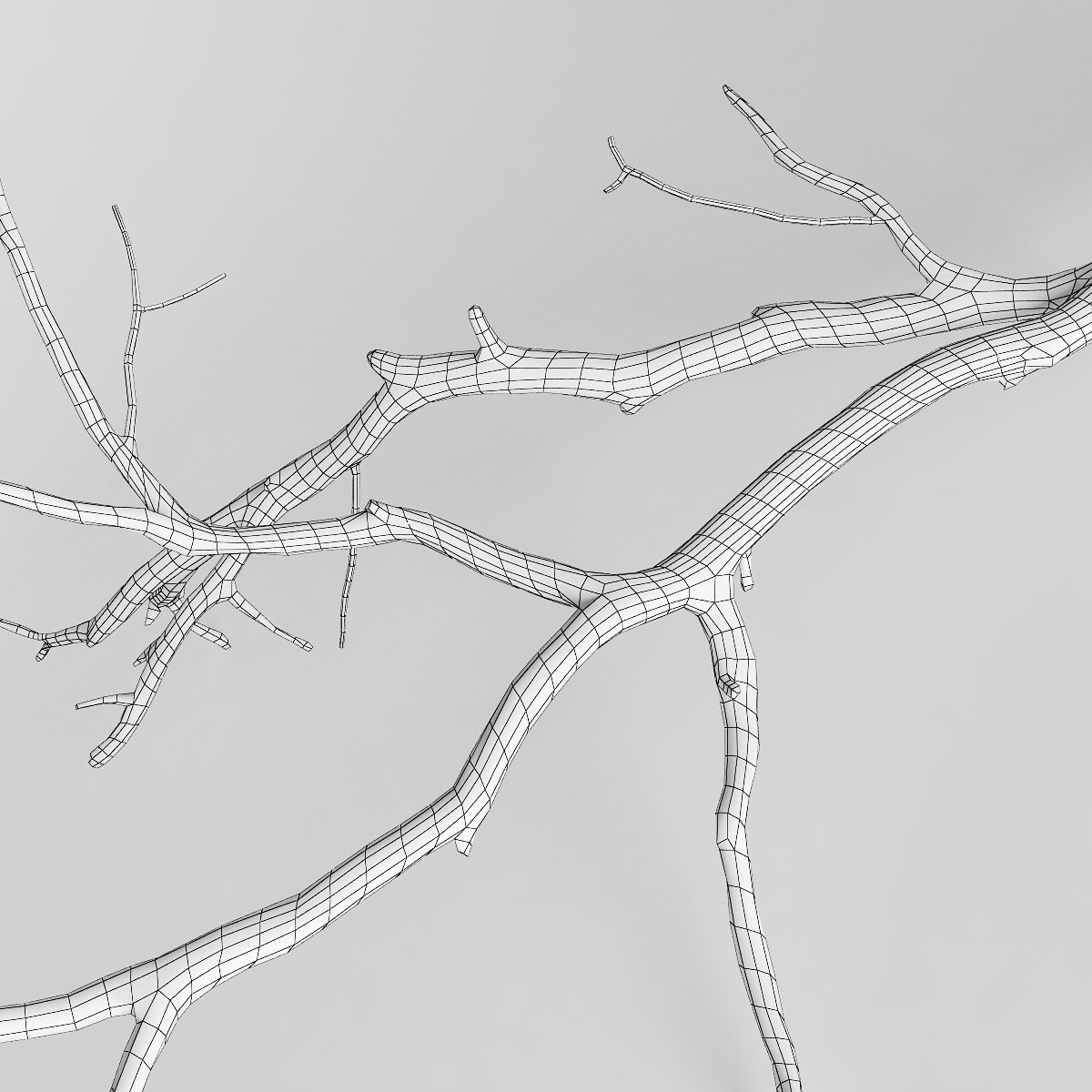 Three branches. Branches 3 дерево. Ветвь 3д модель. Branch 3d model. Ветвь дерева из стали.