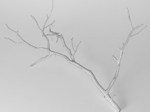 branch 3D Model