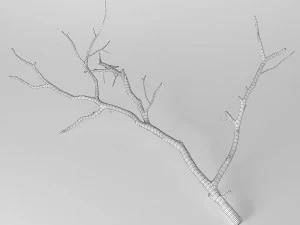 branch 3D Model