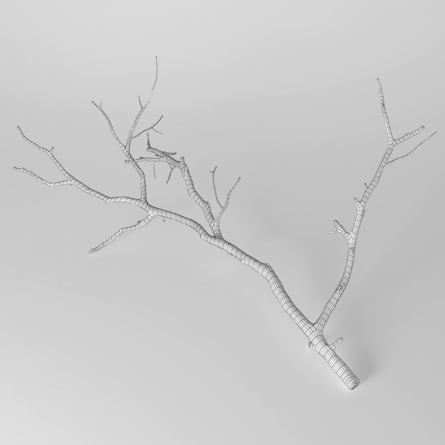Three branches. Ветвь 3д модель. Branch 3d model. Fir Branch 3d model. Embranchment.