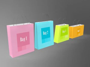 alışveriş &ccedil;antaları 3D Model