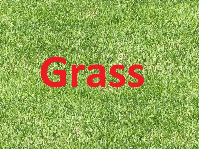grass x5 textures Texturas CG .c4d .max .obj .3ds .fbx .stl .blend 