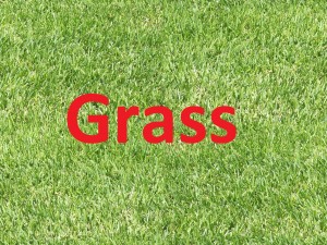 grass x5 textures CG टेक्स्चर्स