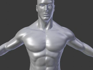 m&auml;nnliches Basisnetz 3D Modell