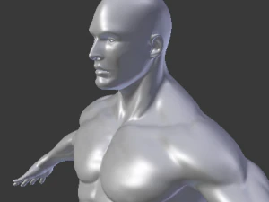male base mesh 3D Model