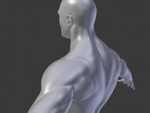 male base mesh Model 3D