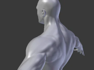 male base mesh 3D Model