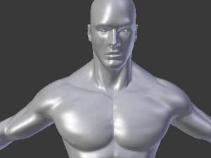 male base mesh 3D Model