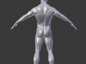 male base mesh Model 3D