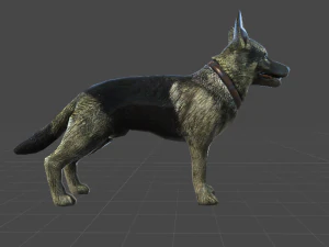 german shepherd 3D Model